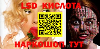 mdpv Гатчина