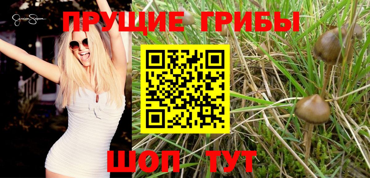 Галлюциногенные грибы ЛСД  Вход с VPN  Бирск 